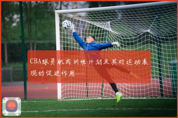 CBA球员肌肉训练计划及其对运动表现的促进作用