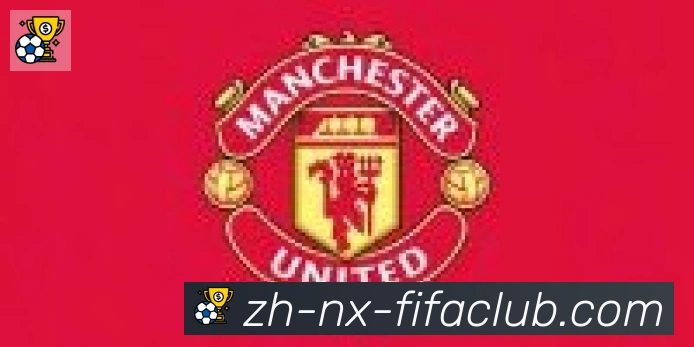 世界杯买球合作伙伴